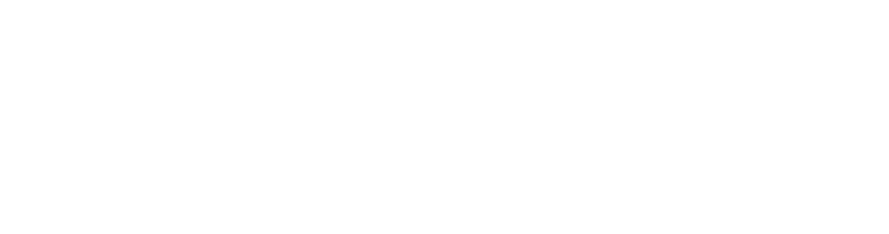 VAV Global Education Services